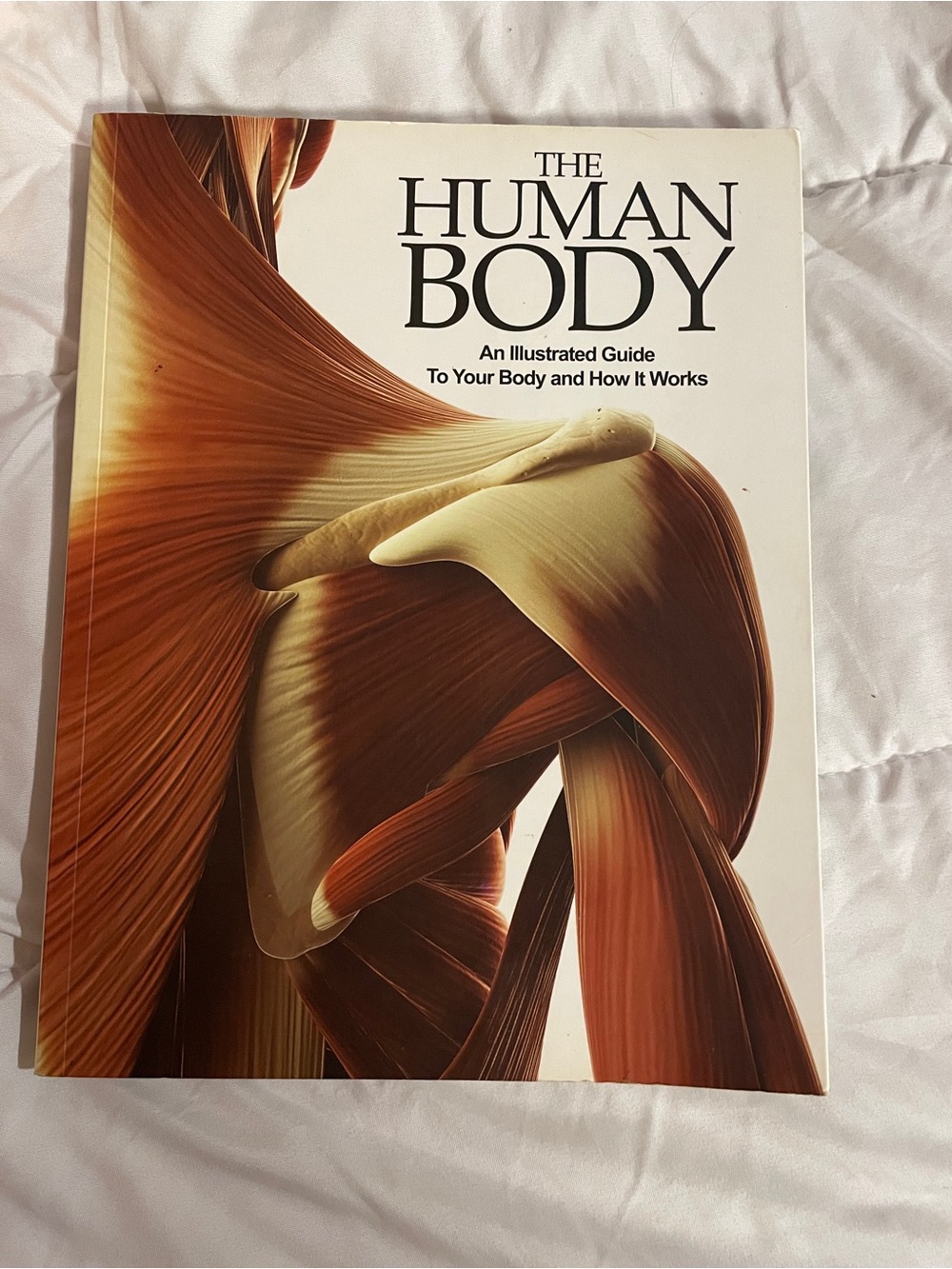The Human Body Illustrated Guide - Brown Cream Cover